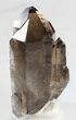 Dark Smoky Quartz Crystal - Brazil #34731-1